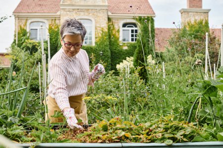 mujer madura feliz de buen aspecto con gafas trabajando en su jardín verde vívido y sonriendo alegremente