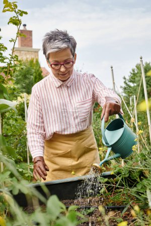 Téléchargez les photos : Attrayant gai femme mature avec des lunettes élégantes arrosant les plantes dans son jardin en Angleterre - en image libre de droit