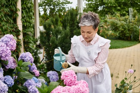 attraktive, reife Frau in lebendigem Kleid, die ihre lebendigen Hortensien in ihrem Garten in England gießt