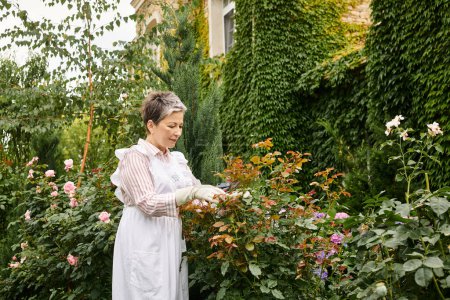 mature cheerful beautiful woman with short hair using gardening tools to take care of lively rosehip