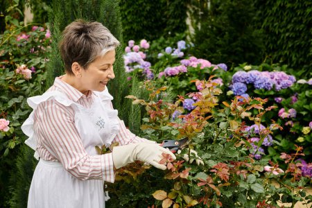 mature joyeuse belle femme aux cheveux courts à l'aide d'outils de jardinage pour prendre soin de rose musquée vivante
