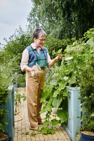 sofisticada mujer madura alegre con pelo corto en elegante atuendo vívido cuidando de sus plantas
