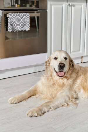 A Labrador dog relaxes on the kitchen floor in front of an open oven, displaying a sense of calm and tranquility.
