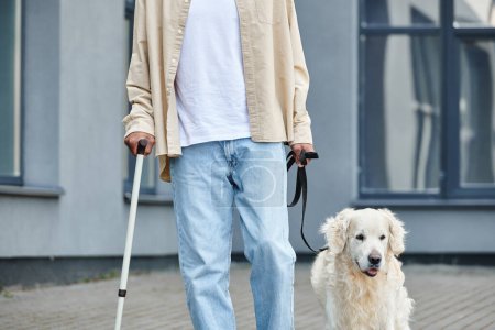 A disabled African American man walks a Labrador dog on a leash, promoting diversity and inclusion.