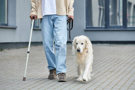 An African American man walks calmly with a cane alongside a loyal white Labrador dog.