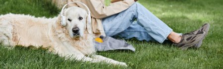 Ein behinderter Afroamerikaner sitzt mit seinem treuen Labrador-Hund im Kopfhörer im Gras.