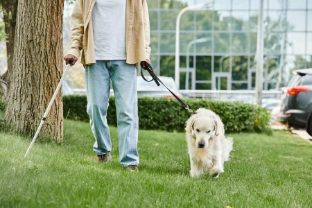 Afroamerikaner geht mit Labrador-Hund an der Leine spazieren.