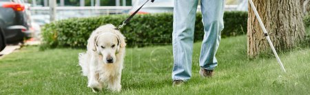 Un afroamericano discapacitado pasea a un perro labrador, mostrando diversidad e inclusión en acción.
