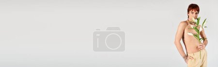 Téléchargez les photos : Un jeune homme torse nu pose sensuellement avec une fleur dans un décor studio avec un fond gris. - en image libre de droit