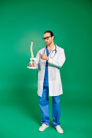 A handsome male doctor in a white coat and blue pants posing on a green backdrop with skeleton model.