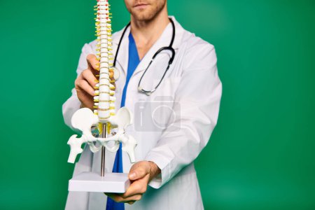 Photo for A handsome doctor in a white medical robe delicately holds a human skeleton model. - Royalty Free Image