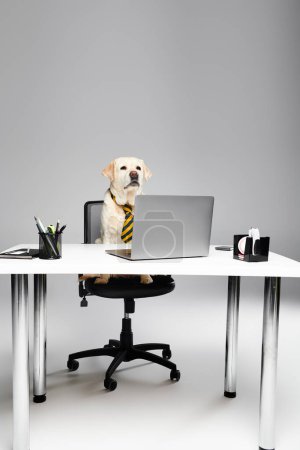 A dapper dog in a tie sits at a desk with a laptop, exuding professionalism and sophistication.