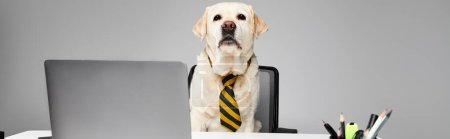 Un chien sophistiqué en cravate assis devant un ordinateur portable, prêt pour une journée de travail à distance.