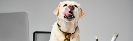 Téléchargez les photos : Un chien portant une cravate assise devant un ordinateur, incarnant professionnalisme et sophistication dans un environnement de travail moderne. - en image libre de droit