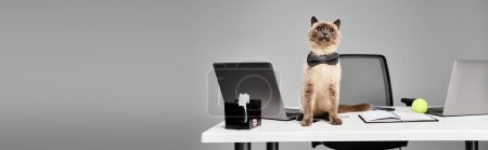 Eine neugierige Katze sitzt anmutig auf einem überladenen Schreibtisch in einem gemütlichen Atelier, umgeben von Papieren und Stiften..