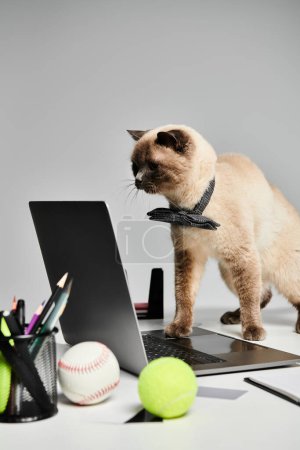 A cat confidently stands on top of a laptop computer, overseeing the workspace.