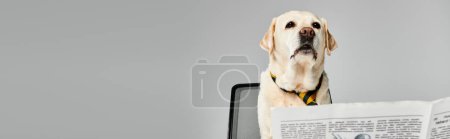 Un chien est assis sur un bureau d'ordinateur à côté d'un journal, observant le monde avec curiosité et compagnie.