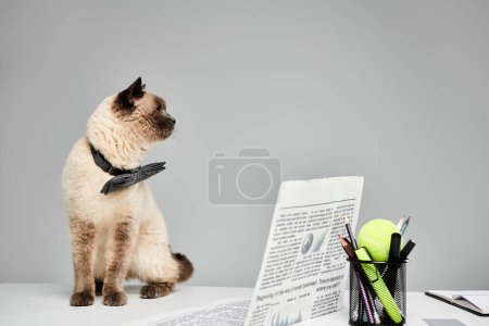 Un gato en reposo sobre una mesa al lado de un periódico.