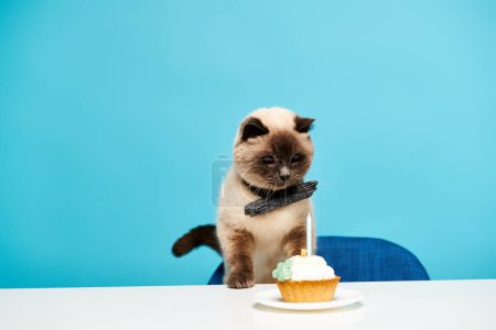 Un gato esponjoso posado sobre una mesa, mirando un tentador pastelito delante de él.