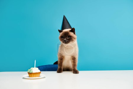 Foto de Un gato se sienta con gracia en una mesa junto a un delicioso pastelito. - Imagen libre de derechos