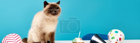 Foto de Gato siamés se sienta con gracia al lado de pastel de cumpleaños adornado en la mesa. - Imagen libre de derechos
