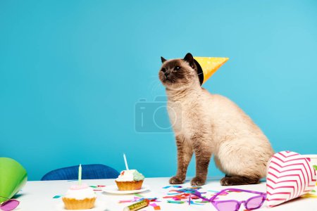 A playful cat wearing a festive party hat, sitting on a table in a studio setting.