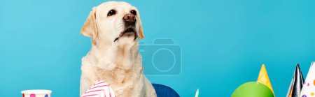 Foto de Un perro peludo se sienta frente a un pastel de cumpleaños colorido, listo para celebrar una ocasión especial con alegría y emoción. - Imagen libre de derechos