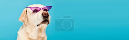 A dog wearing purple sunglasses stands out on a vibrant blue background, exuding style and personality.