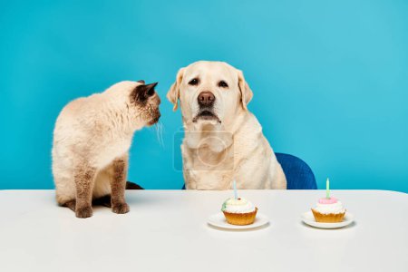 Eine Katze und ein Hund genießen gemeinsam Cupcakes an einem Tisch in gemütlicher Studioatmosphäre.