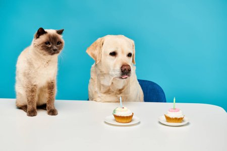 Un gato y un perro se sientan en una mesa, disfrutando felizmente de magdalenas juntos en una escena caprichosa y conmovedora.