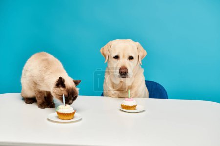 A cat and a dog enjoy cupcakes together at a table in a delightful studio setting.