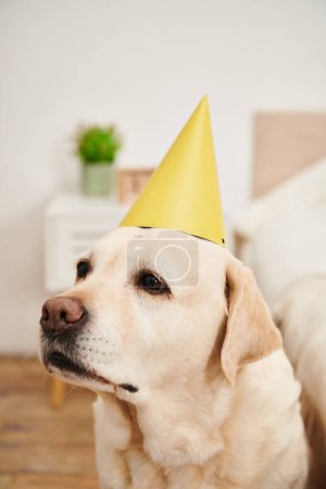 A festive white dog wears a vibrant yellow party hat, adding a touch of joy and celebration to the scene.