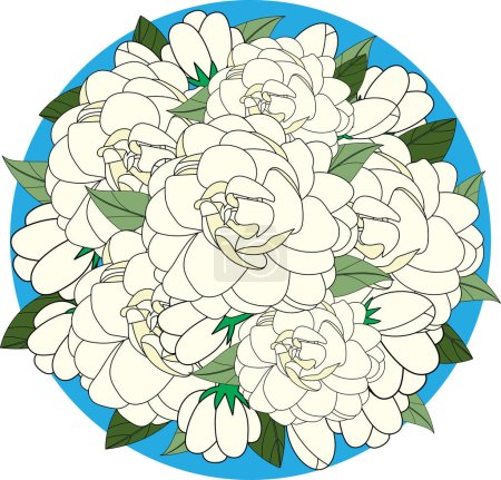 Illustration of white jasmine flower with leaves on blue circle background.