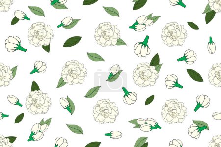 Ilustración de Illustration of white jasmine flower with leaves on empty background. - Imagen libre de derechos