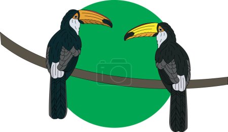 Ilustración de Illustration of two hornbill bird on branch with green circle background. - Imagen libre de derechos