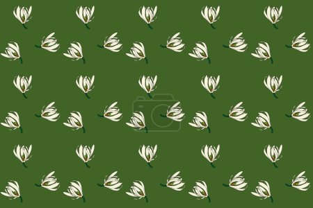 Abstract pattern of chempaka flower blooming on green background.