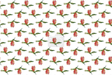 Illustration pattern, Abstract of Flame lily, Climbing lily, Turk's cap flower with leaf on white background.