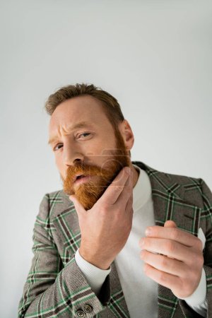 Stylish man in jacket touching beard and looking at camera isolated on grey 
