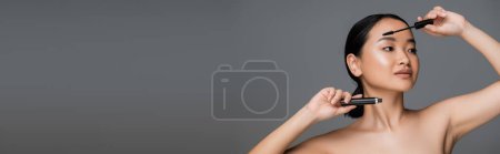 asian woman with perfect skin and natural makeup posing with black mascara isolated on grey, banner