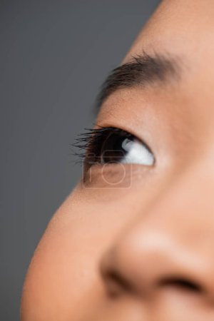 close up view of cropped asian woman with perfect skin and black mascara on eyelashes isolated on grey