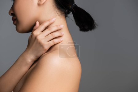 Téléchargez les photos : Side view of cropped young woman with perfect skin and ponytail hairstyle touching neck isolated on grey - en image libre de droit