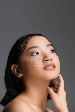 portrait of brunette asian woman with perfect skin and natural makeup touching neck and looking away isolated on grey