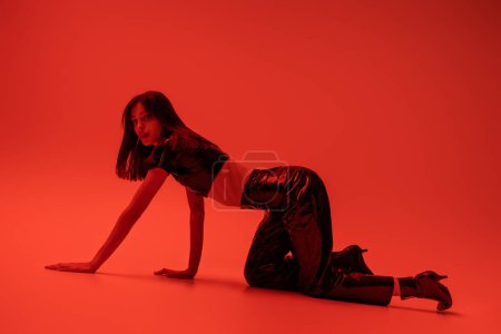 full length of stylish woman in latex crop top and trousers crawling on red