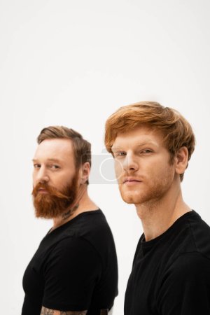 red haired man with bearded tattooed father looking at camera on grey background