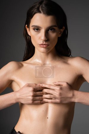  seductive shirtless woman with wet body covering breast with hands and looking at camera on grey background