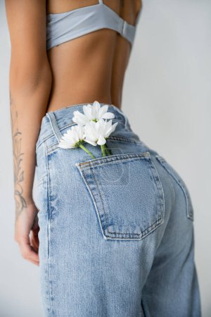 Téléchargez les photos : Partial view of woman in bra posing with white flowers in back pocket of jeans isolated on grey - en image libre de droit