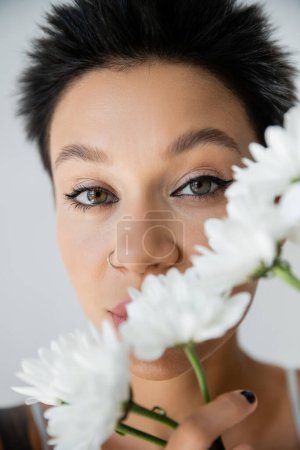 close up portrait of brunette woman with makeup and piercing looking at camera near white flowers isolated on grey