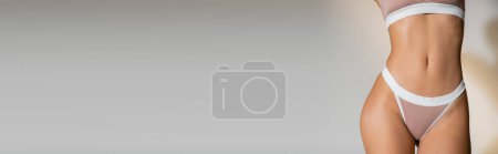 Téléchargez les photos : Vue recadrée de la femme avec un corps et une peau parfaits debout en sous-vêtements sur fond gris, bannière - en image libre de droit