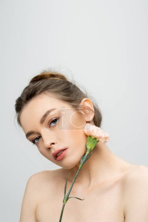 encantadora mujer con maquillaje natural que sostiene la flor del clavel cerca de la cara mientras mira a la cámara aislada en gris