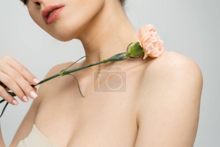 vista recortada de mujer joven con hombros desnudos sosteniendo flor de clavel aislada en gris